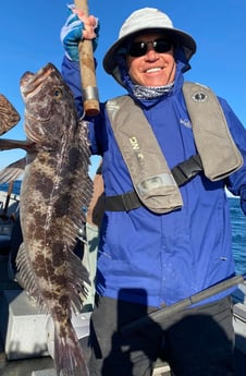 Lingcod Fishing in Hubbard, Oregon, USA