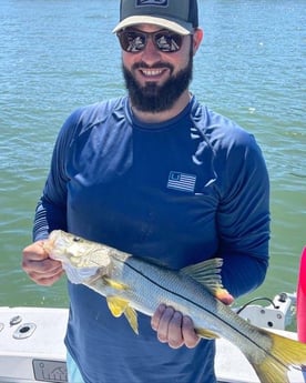 Snook Fishing in Tampa, Florida