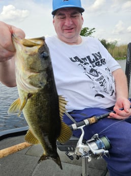 Largemouth Bass Fishing in