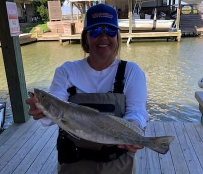 Speckled Trout / Spotted Seatrout fishing in Bolivar Peninsula, Texas