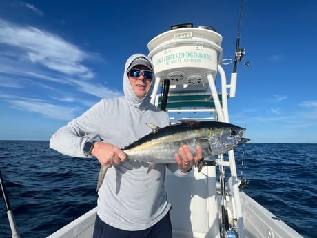 Fishing in Summerland Key, Florida