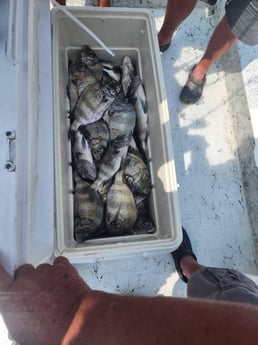 Fishing in Port Isabel, Texas