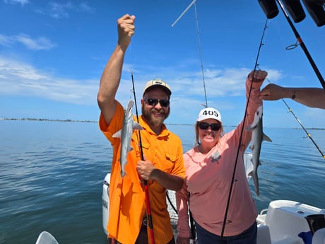 Fishing in Sarasota, Florida