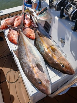 Fishing in Pensacola, Florida