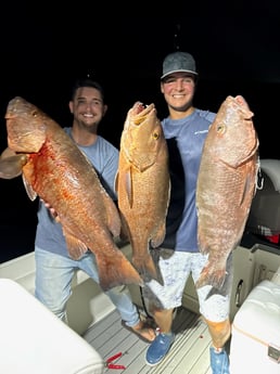 Fishing in Miami, Florida