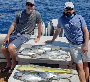 Little Tunny / False Albacore, Mahi Mahi / Dorado fishing in Riviera Beach, Florida