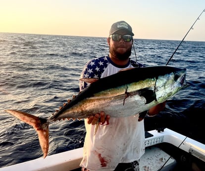 Blackfin Tuna Fishing in Marathon, Florida