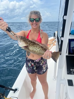 Gag Grouper fishing in Little River, South Carolina