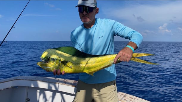 Mahi Mahi Fishing in Marathon, Florida