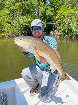 Redfish Fishing in Cape Coral, Florida
