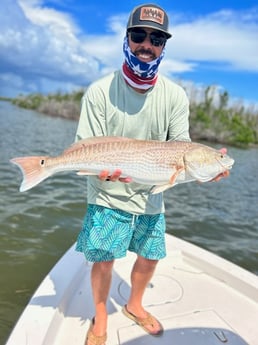 Redfish Fishing in Cape Coral, Florida