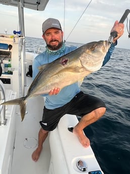 Amberjack Fishing in Tavernier, Florida