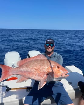 Fishing in Sarasota, Florida