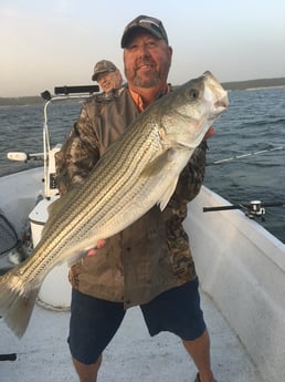 Striped Bass fishing in Whitney, Texas