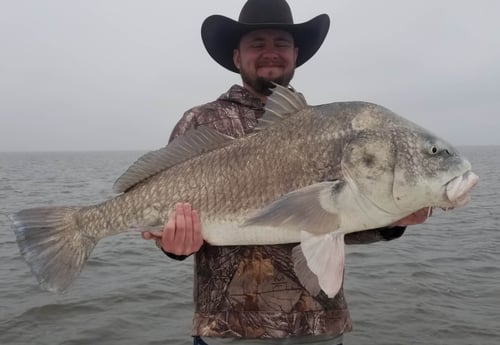Black Drum fishing in Sulphur, Louisiana