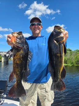 Fishing in Davie, Florida