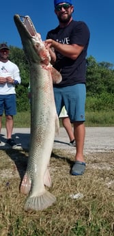 Alligator Gar fishing in Livingston, Texas