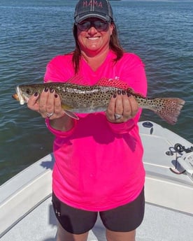 Speckled Trout Fishing in Tampa, Florida