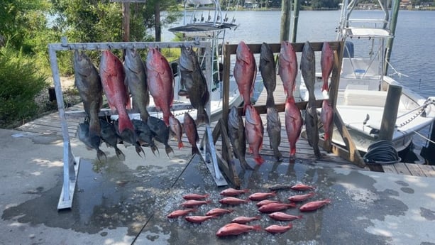 Fishing in Panama City Beach, Florida