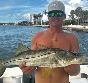 Snook Fishing in Sarasota, Florida