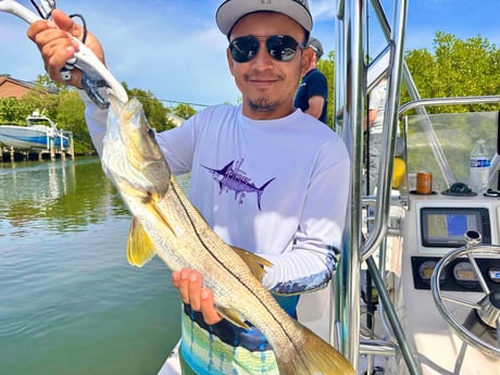 Snook Fishing in Sarasota, Florida