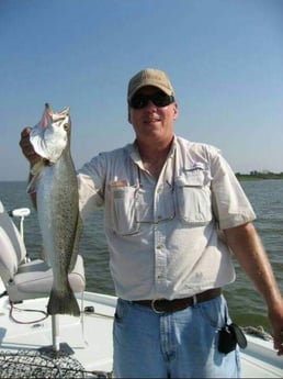 Speckled Trout / Spotted Seatrout fishing in Sulphur, Louisiana