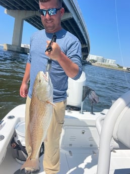 Fishing in Orange Beach, Alabama