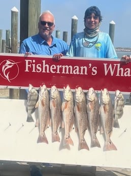 Black Drum, Redfish Fishing in Port Aransas, Texas