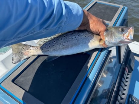 Fishing in Slidell, Louisiana
