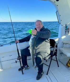 Striped Bass Fishing in Montauk, New York