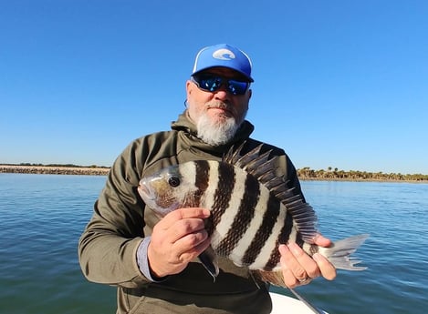 Sheepshead Fishing in St. Augustine, Florida