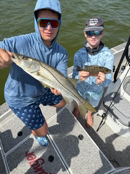 Fishing in Tampa, Florida