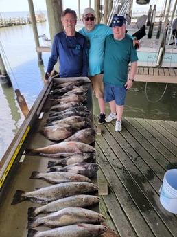 Black Drum, Speckled Trout / Spotted Seatrout fishing in San Leon, Texas