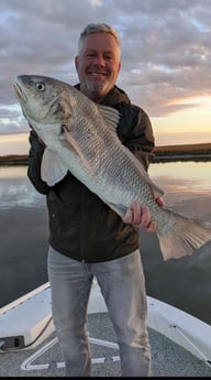 Black Drum fishing in Sulphur, Louisiana