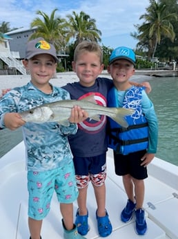 Snook fishing in Placida, Florida
