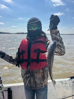 Fishing in Deer Park, Texas