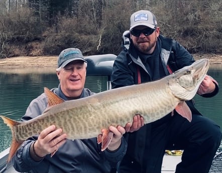 Muskie fishing in Knoxville, Tennessee