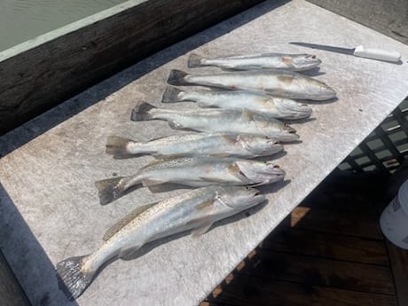 Fishing in Corpus Christi, Texas