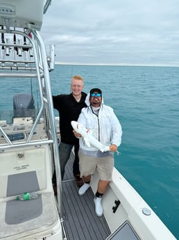 Fishing in Key Largo, Florida