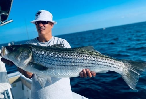 Striped Bass fishing in Bourne, Massachusetts