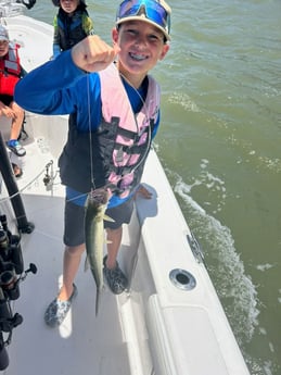 Bluefish Fishing in League City, Texas