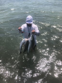 Redfish, Speckled Trout Fishing in Rockport, Texas
