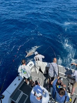 Fishing in Miami Beach, Florida