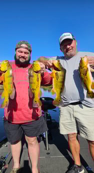 Fishing in Deerfield Beach, Florida