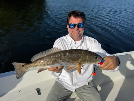 Fishing in St. Petersburg, Florida