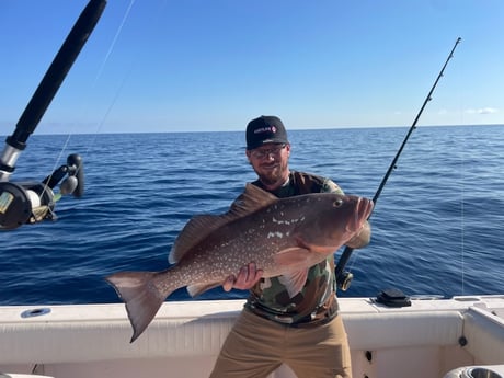 Fishing in Sarasota, Florida