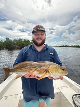 Redfish Fishing in Fort Myers Beach, Florida