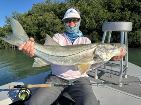 Fishing in Miami, Florida