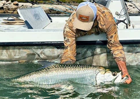 Tarpon Fishing in