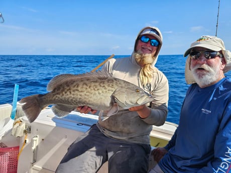 Fishing in New Port Richey, Florida